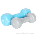 Iron Color PE Cooated Hex Dumbbell